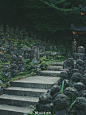 爱宕念佛寺，始建于八世纪中期（原位于东山，二十世纪初迁址），曾几度重建荒废，直至募集到参拜者捐赠的一千二百尊罗汉雕像（每尊都出自不同人之手），才重新受到关注。  ​​​ 2日本·京都 ​​​​