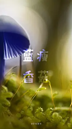 #@灵感图匠# 文字 字体 伤感 控 排版 设计 海报 logo 图片 壁纸