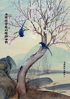 猫夏的我采集到画