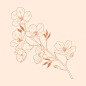 Hand drawn flat design simple flower outline