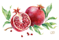 pomegranate patterns on Behance
