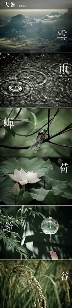 袭佩佩采集到待归类采集,