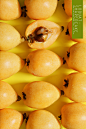 loquat : loquat