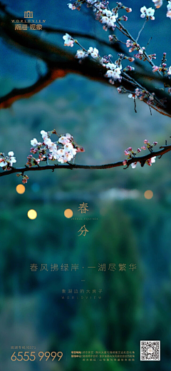 欢脱的小榕树采集到【节气】春分