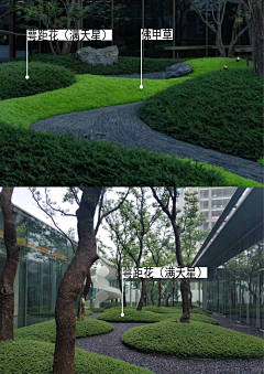 ZJ~~采集到植物造景