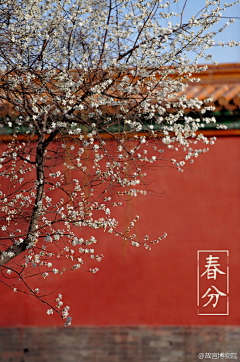 萱宣采集到文艺