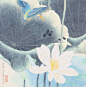 周彦生作品选——富丽花鸟