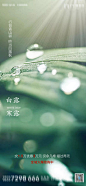 【仙图网】海报 房地产 白露 寒露 二十四节气 露水|961788 