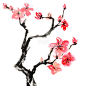 plum blossom