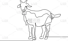 山羊,连续性,一只动物,铅笔画,纯种犬,清新,肖像,食品,哺乳纲,自然美