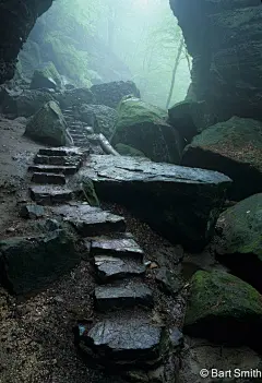 采集图片