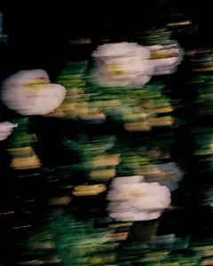&quot;
你不能永远总是
对过去发生的事耿耿于怀。
你应该认识到
你与大多数人一样过得很好，
或许还要好的多，
那就应该心满意足了。
&quot;
/ 石黑一雄 《长日将尽》 ​​​