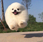 #晚安原画人#  据说人最好的状态是，脸上看起来比实际年龄年轻五六岁，心理比实际年龄成熟五六岁。你属于哪一种？ ​​​​