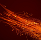 sparks by Vyacheslav Novkov, via Behance | Shampoo bottles design, Graphic design inspiration, Texture images