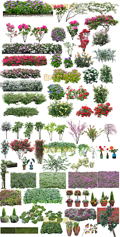 Material | PS | Plant | Bush灌木图片大全-Material | PS | Plant | Bush灌木高清好看的 ...