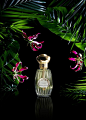 Annick Goutal  -  Candice Milon摄影