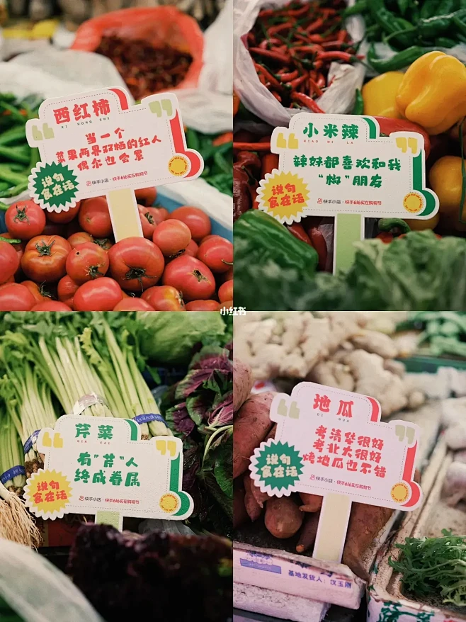 FUJI | 青岛菜市场文学展 实在人里...