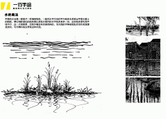 Fiemos采集到【园林景观】手绘