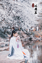 咏樱花