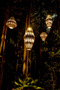 新西兰森林灯光装置-3