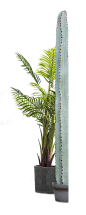 植物盆栽1png (16)