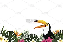 夏季销售横幅与巨嘴鸟