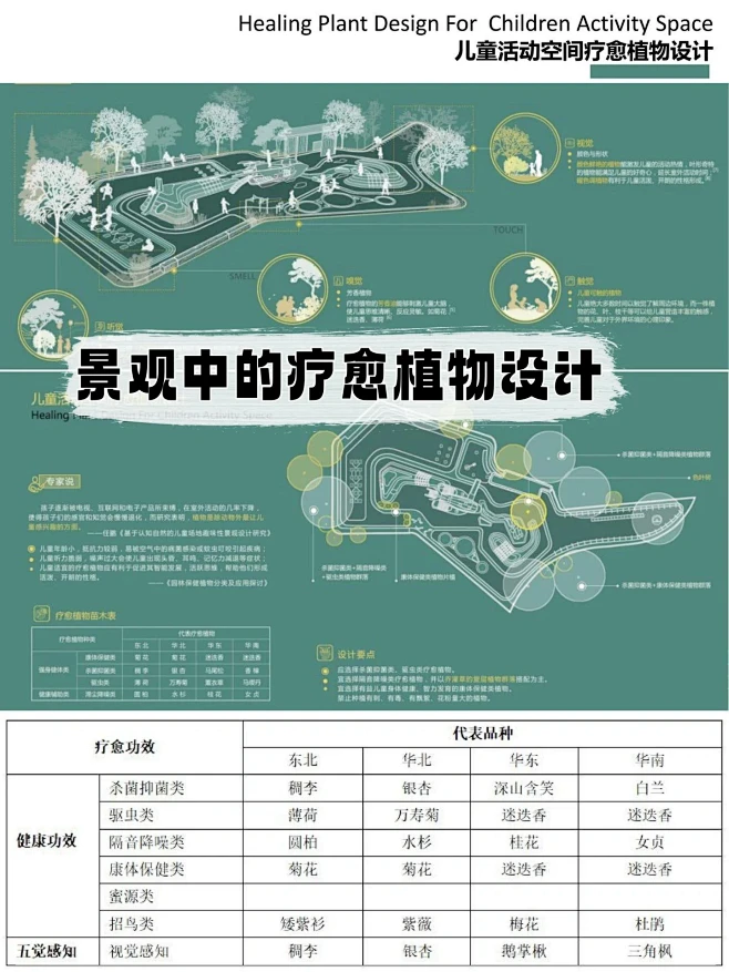 如何打造一个疗愈花园？