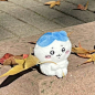 吉伊卡哇CHiicawa (40)