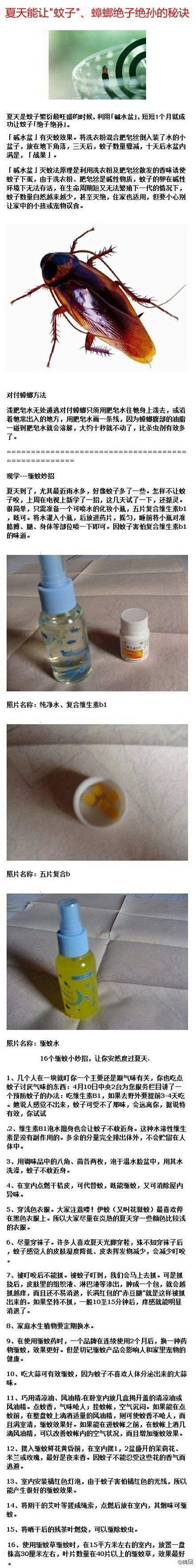 夏天能让"蚊子"、蟑螂绝子绝孙的秘诀，家...