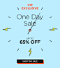 Shop VIP One Day Sale Now!
