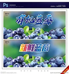 蓝莓采摘海报 蓝莓 蓝莓海报 蓝莓广告 蓝莓水果 有机蓝莓 水果 蓝莓瓶贴 蓝莓展板 蓝莓招贴 水果店蓝莓 蓝莓摄像 蓝莓宣传 蓝莓养颜 蓝莓果汁 蓝莓专卖 蓝莓基地 蓝莓节 蓝莓素材 高清蓝莓 蓝莓标签 蓝莓图片 蓝莓包装 蓝莓采摘 吃蓝莓 美味蓝莓 超市蓝莓 新鲜蓝莓 蓝莓挂图 蓝莓种植 设计 广告设计 广告设计 300DPI PSD