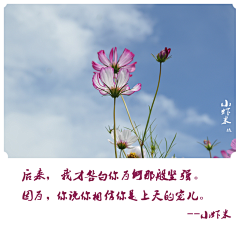 慕宝儿丶采集到花儿