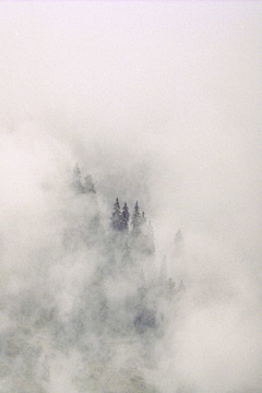 木曾和风采集到迷雾