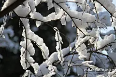 天坛•春雪, 高山流水之高老头旅游攻略