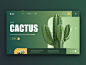 Cacti & Succulents Store Web site Concept by Anna Senkova | Dribbble | Dribbble