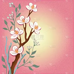 盛开的樱花树