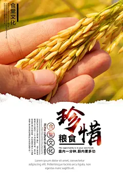珍惜粮食宣传海报