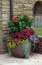 Unique by Design l Helen Weis, the colors of each plant work so beautifully together: 