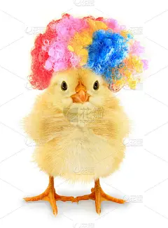 白色背景上头发更疯狂的疯女人