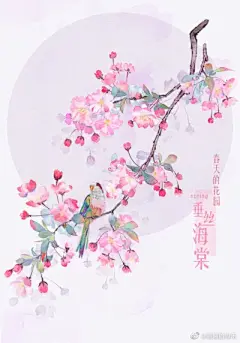 水彩---樱花-梨花-桃花-海棠花、梅花 - 高清图片，堆糖，美图壁纸兴趣社区