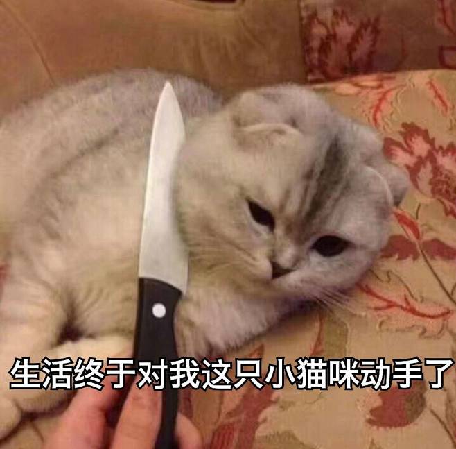 来自分享