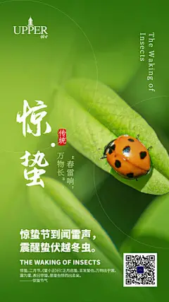 海报 房地产 惊蛰 二十四节气