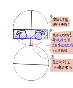 白折郡采集到Q版人体结构