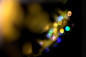 00209-唯美光斑光晕高光逆光朦胧图片后期溶图素材 (5)