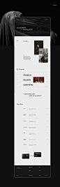 MOSAIC-folio website : Portfolio Ui/Ux Pikalyov Vladimir