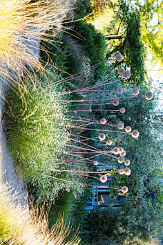 la绿植软景细节