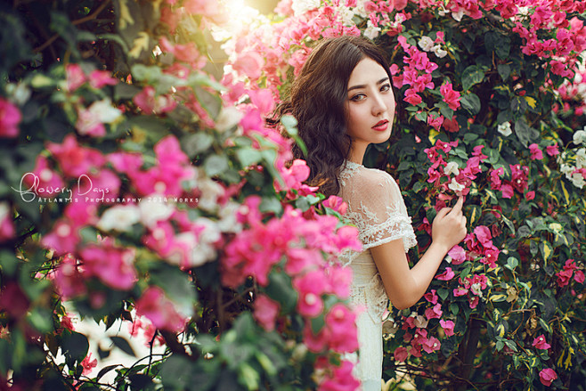 【秘密花园】_7 #古典# #小清新# ...