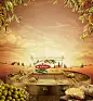Bertolli Gold : An advertising campaign for Bertolli Gold