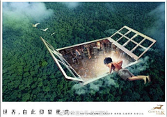 谢飞（大飞）采集到效果
