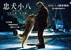 《忠犬八公》电影海报 的图像结果